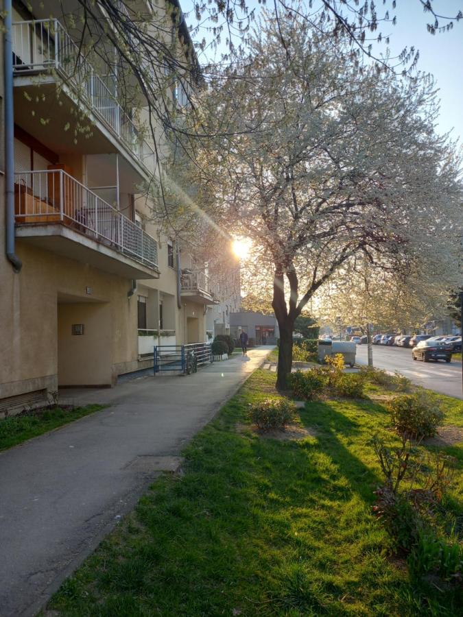 Apartment Jarun Comfort Zagreb Exteriör bild