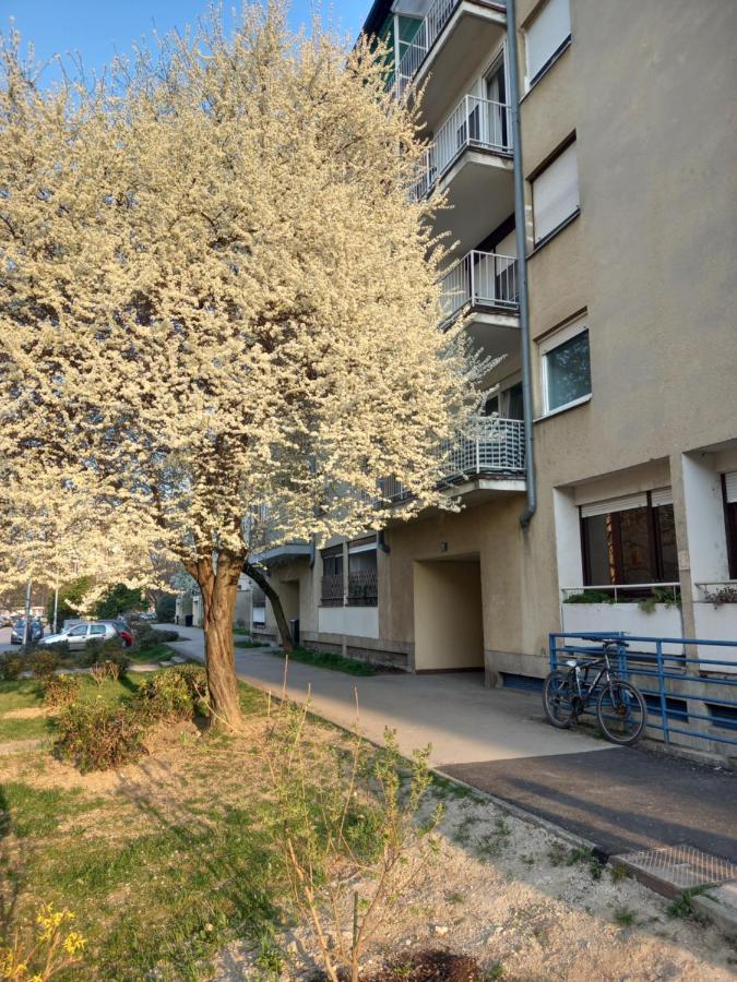 Apartment Jarun Comfort Zagreb Exteriör bild